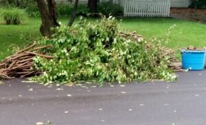 Yard Waste Deerfield Beach FL