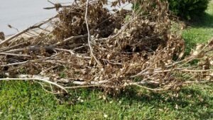 Yard Waste Greenacres FL