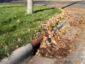 Yard Waste Gulf Stream FL