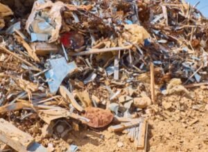 Construction Debris Land O Lakes Florida