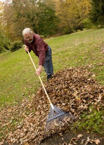 Yard Waste Wellington FL