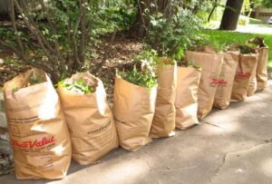 Yard Waste Debris Spring Hill FL