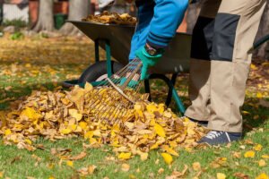 Yard Waste Miramar FL