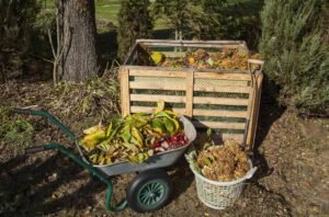 Yard Waste Hillsboro Beach FL