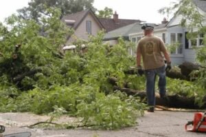 Yard Waste Juno Beach FL