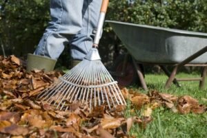 Yard Waste Lantana FL