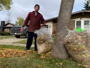 Yard Waste Loxahatchee FL