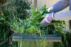 Yard Waste Miami Gardens FL