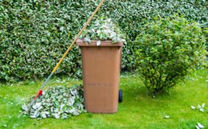 Yard Waste Sunny isles FL