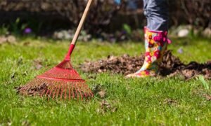 Yard Waste South bay FL