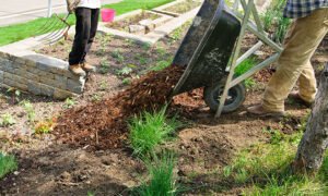 Yard Waste Royal palm beach FL