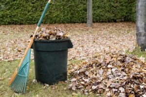 Yard Waste Removal Miami Beach