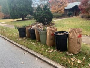 Yard Waste Removal in Jacksonville