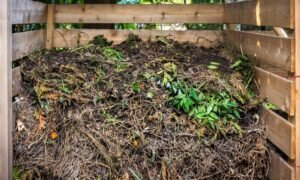 Yard Waste Removal Doral