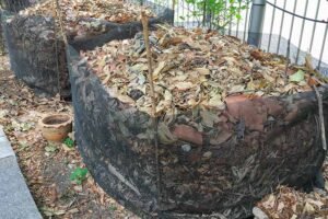 Waste Removal in Aventura